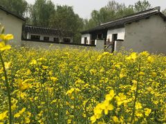 -溱湖国家湿地公园