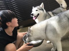 -TrueLove @ Neverland (Husky Cafe)
