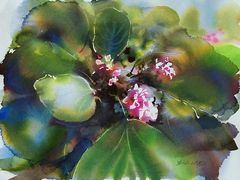 -八哥美术·成人美术画室(总校区)