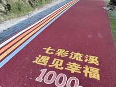-广州市流溪河国家森林公园
