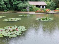 -庐山风景区花径公园