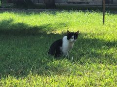 -吐斯廉屠杀博物馆