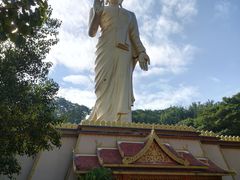 -西双版纳勐泐文化旅游区