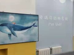 -瑞派·爱瑞可动物医院·口腔专科(广华新城分院)