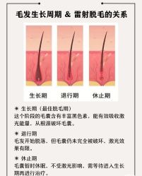 -薇兰专业脱毛连锁机构