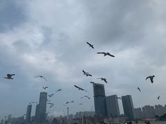 -东港音乐喷泉广场