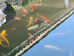 -吴作人艺术馆