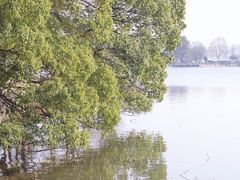 -东湖落雁景区