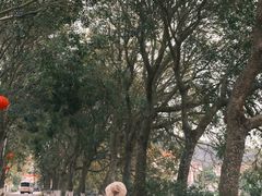 -良溪古村
