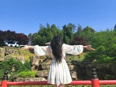 -秀丽东方