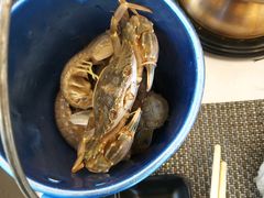 鲜活皮皮虾-澜悦港海鲜体验主题餐厅