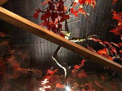 -京味斋·烤鸭·北京菜(安贞店)