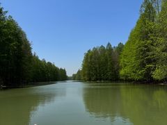 -上海海湾国家森林公园