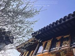 -南翔古镇