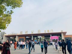 -自然谷恐龙园