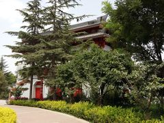 -金城公园