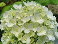 -白塘生态植物园