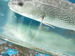 -聚德福海鲜家常菜(刘庄店)