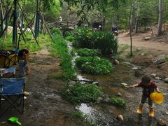 -白水寺森林公园