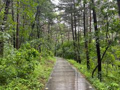 -帽儿山国家森林公园