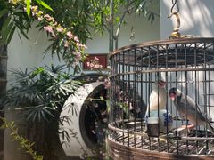 -31号公馆(黄兴广场白果园店)