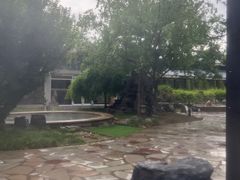 -中家鑫园温泉酒店鑫悦汤泉