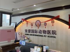 -宠爱国际动物医院·消化内科·心肾内科·ISFM猫友好(望京店)