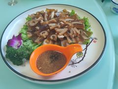 -新味都博山菜