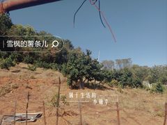 -青龙山国家森林公园