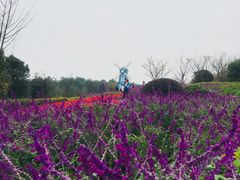 -铁山坪森林公园