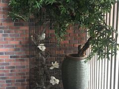 -美豪怡致酒店(上海长寿路店)