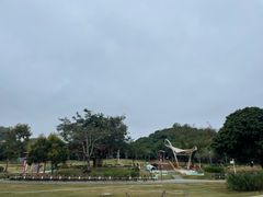 -立新湖公园