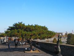 -王家大院