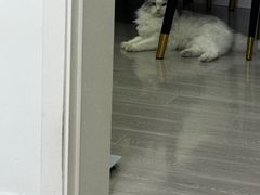 -南京市民俗博物馆(甘熙宅第)
