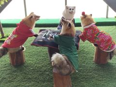 -肃宁华斯国际裘皮城