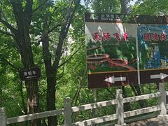 -大芦花风景区