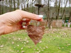 -UNIUNI(凯瑟琳广场店)