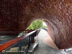 -东寨港红树林旅游区