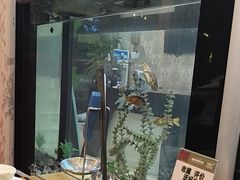 -清真·田园居家酸菜牛肉烤火锅(凤霞路店)