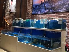 水产区-姜君·千岛湖鱼头馆(浦东大道店)