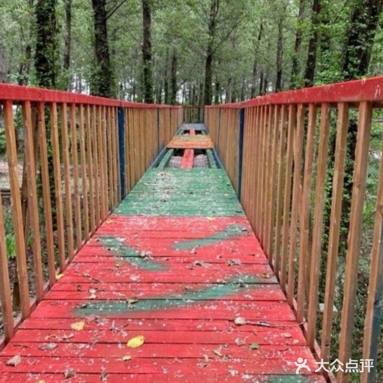 哇~可以亲近大自然的儿童乐园