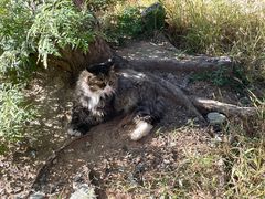 -北京西山国家森林公园