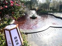 -杭州第一世界大酒店·云曼温泉