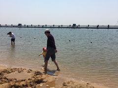 -碧海金沙