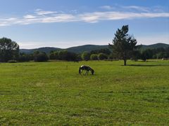 -北极村旅游风景区