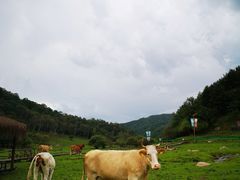 -大水川景区