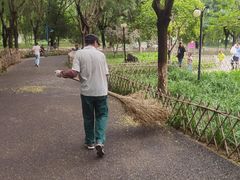 -丰台科技园生态主题公园