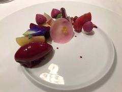 甜菜根-Odette