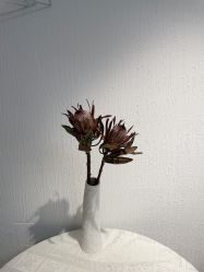 -小梨·OndaPro·专业脱毛连锁机构
