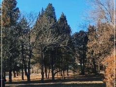 -国家植物园南园